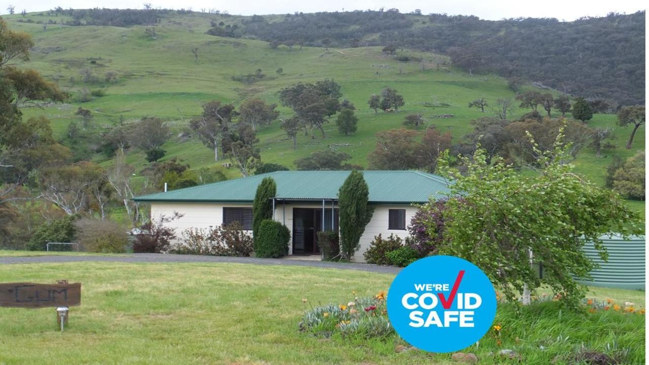 Elm Cottage Tumut Exterior foto