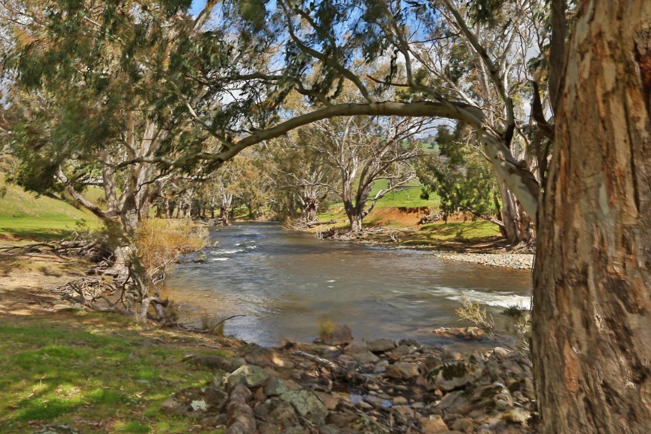 Elm Cottage Tumut Exterior foto
