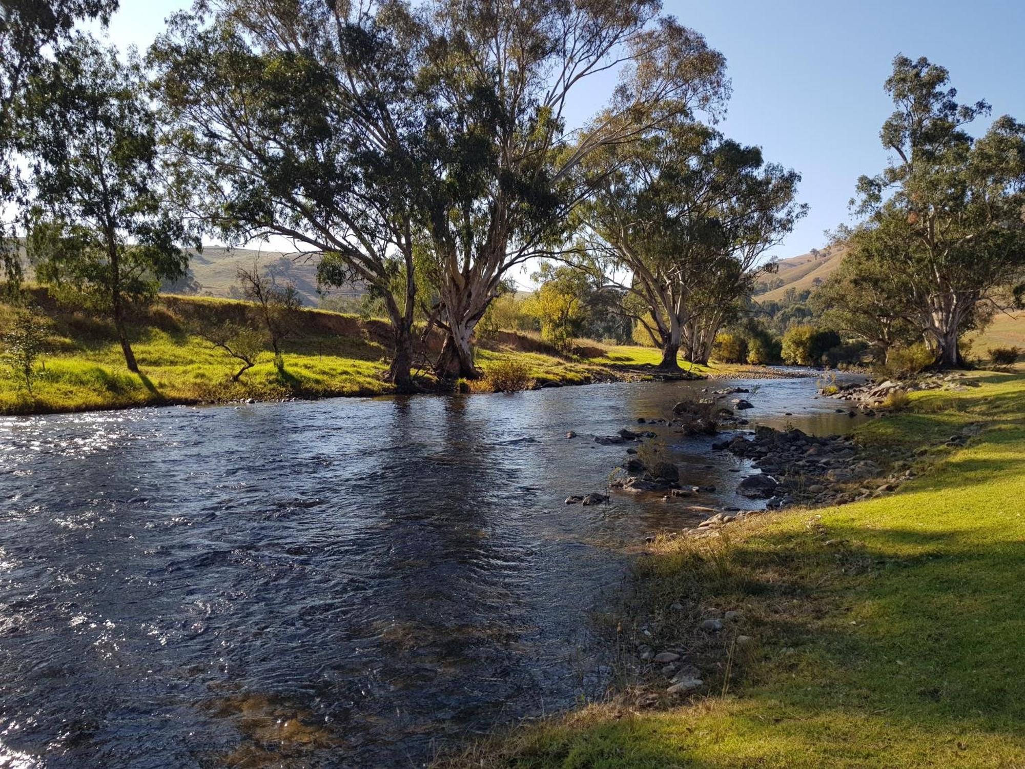 Elm Cottage Tumut Exterior foto