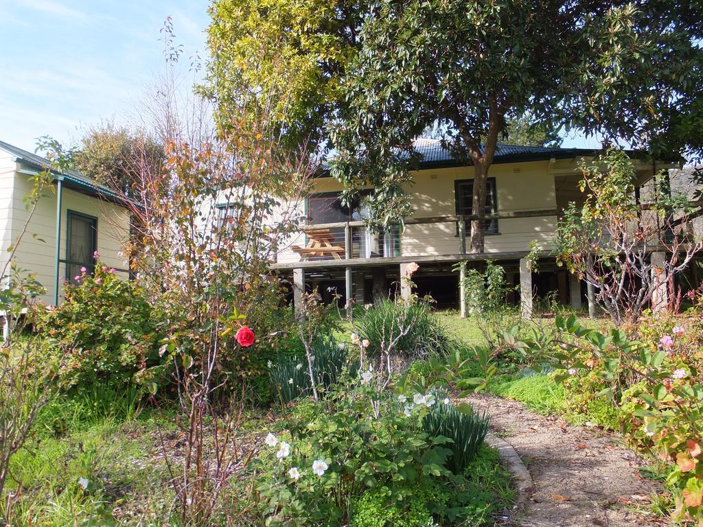 Elm Cottage Tumut Exterior foto